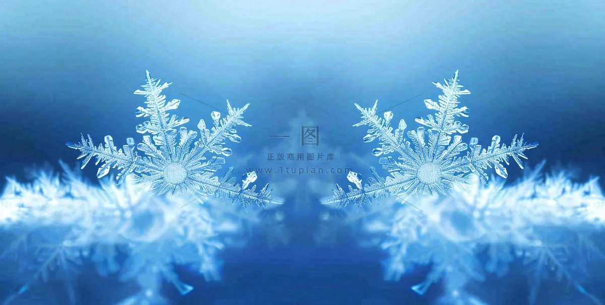 冬季雪花水晶蓝色寒冷小寒大寒大雪摄影图
