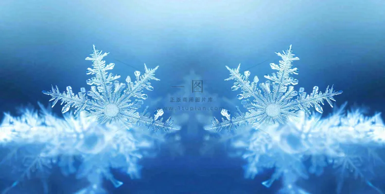 冬季雪花水晶蓝色寒冷小寒大寒大雪摄影图