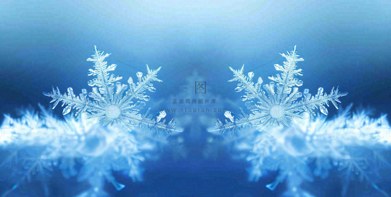 冬季雪花水晶蓝色寒冷小寒大寒大雪摄影图 冬季雪花水晶蓝色寒冷小寒大寒大雪摄影图