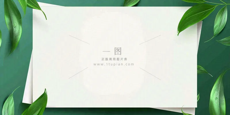 绿叶粽叶绿色边框白色信封端午节插画背景 绿叶粽叶绿色边框白色信封端午节插画背景