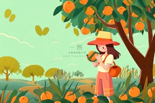 女孩摘树上的水果丰收插画背景
