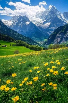 高原高山雪山风光风景摄影图