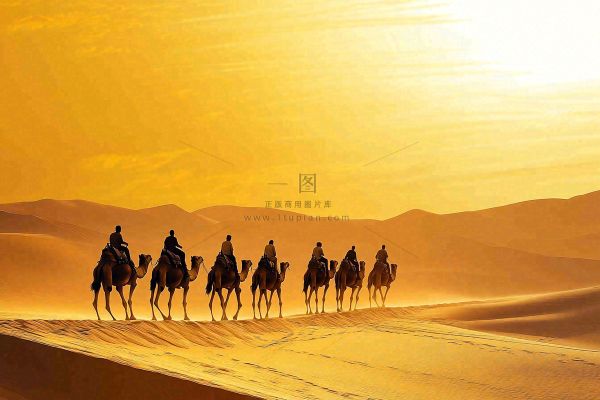 沙漠里的骆驼队伍黄沙夕阳大漠风光自然风景摄影图