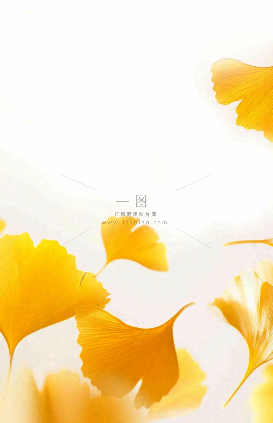 秋天秋分立秋