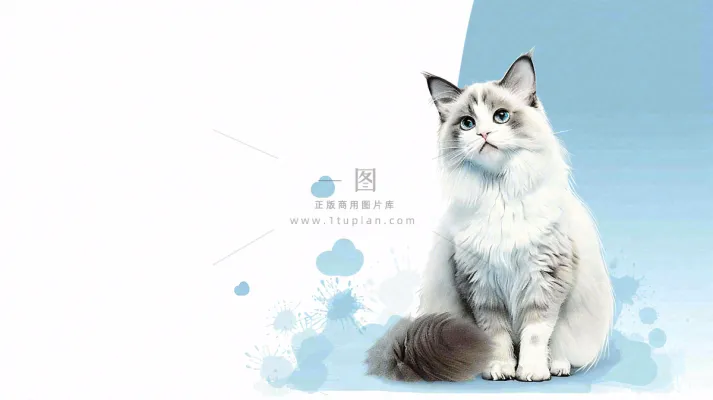 宠物生活馆猫狗卡通插画背景