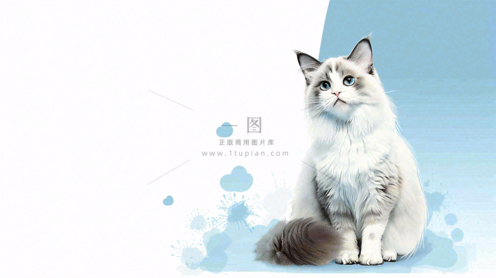 宠物生活馆猫狗卡通插画背景 宠物生活馆猫狗卡通插画背景