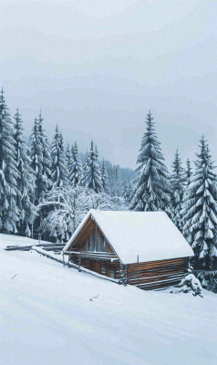 冬天寒冷白雪结冰小寒摄影图 冬天寒冷白雪结冰小寒摄影图