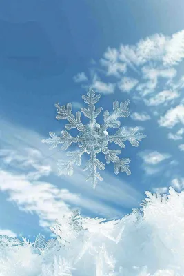 冬天寒冷白雪结冰小寒摄影图 冬天寒冷白雪结冰小寒摄影图