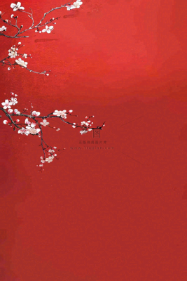 红色墙背景梅花红花鸟情人节七夕小年新年除夕背景