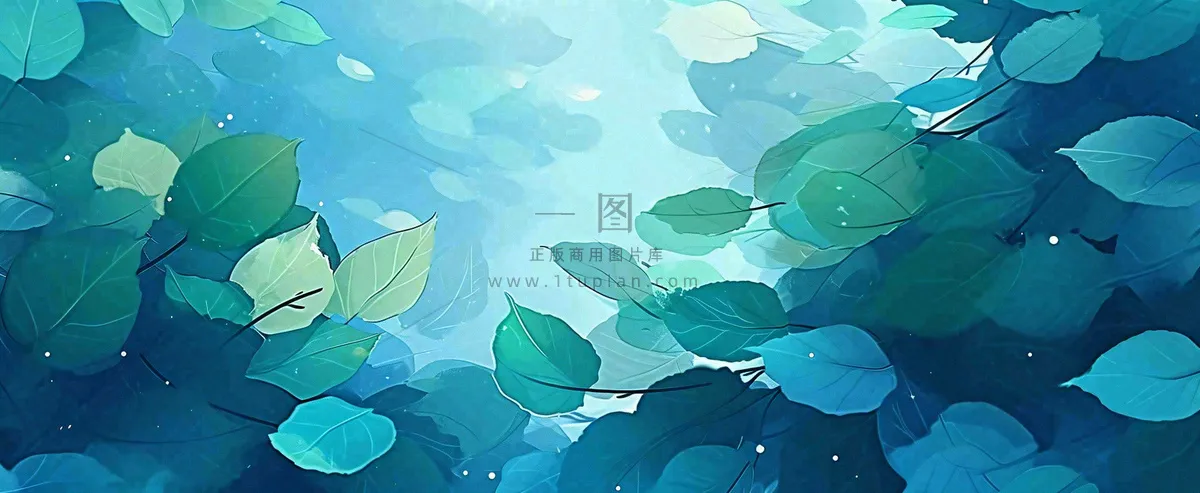 夏天湖面落叶荷花荷叶水面仰视，夏至小暑大暑