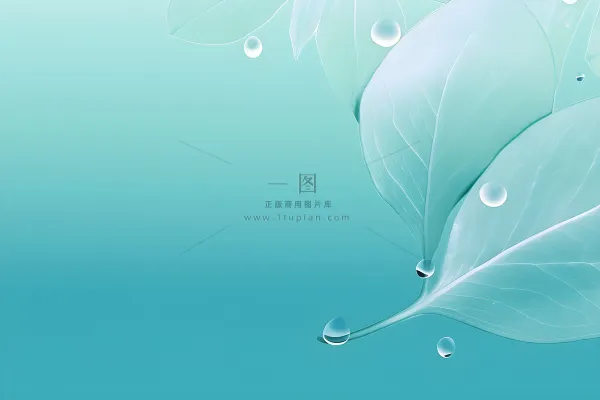 树叶露珠青色大气意境背景 树叶露珠青色大气意境背景