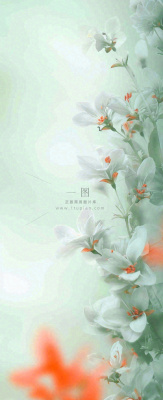 白色清新花朵朦胧唯美意境,鲜花摄影图 白色清新花朵朦胧唯美意境,鲜花摄影图