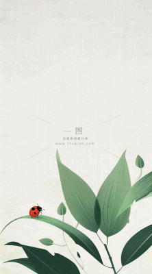 春天国风插画绿叶上的昆虫惊蛰插画背景 春天国风插画绿叶上的昆虫惊蛰插画背景