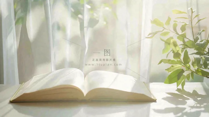 阳光下翻开的书本知识阅读世界读书日摄影图