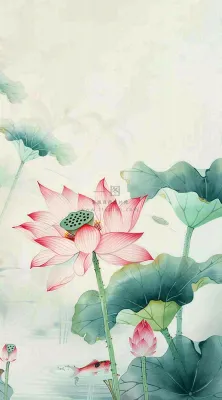 夏天荷花荷叶清凉小清新淡雅立夏夏至暑插画背景 夏天荷花荷叶清凉小清新淡雅立夏夏至暑插画背景