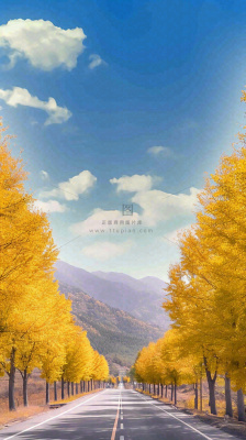 秋天蓝天白云下唯美公路旁的黄叶树木，秋分处暑摄影图