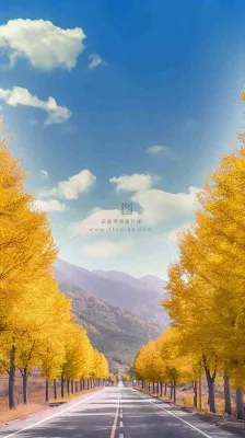 秋天蓝天白云下唯美公路旁的黄叶树木，秋分处暑摄影图