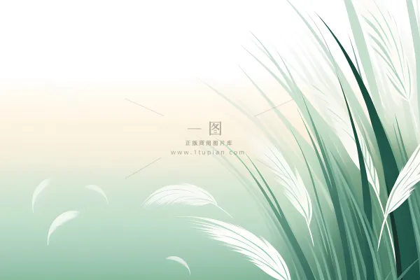 清新大气绿色芦苇羽毛背景