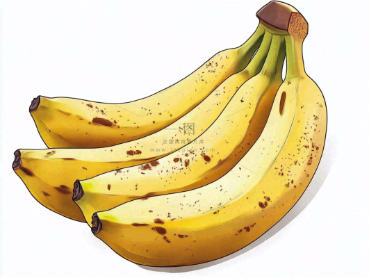 香蕉水果插画背景 香蕉水果插画背景