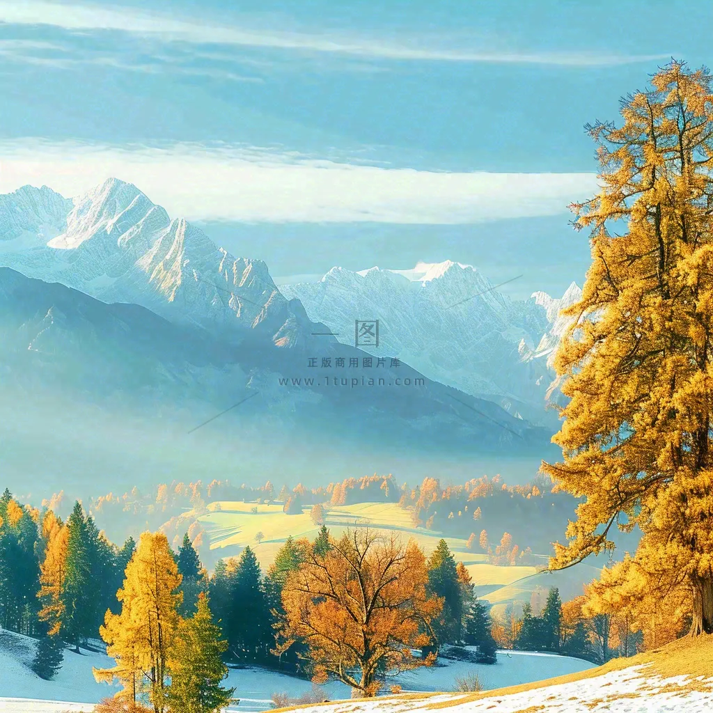 秋天黄色的树叶和草地肃杀的气氛,立秋,秋分