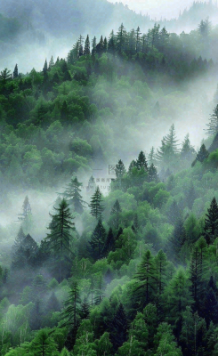 国际山岳日 国际山岳日