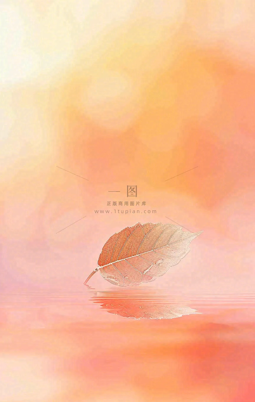 秋天秋分立秋