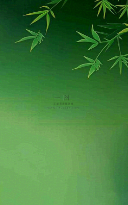 端午佳节竹子插画中国风绿色清雅静背景 端午佳节竹子插画中国风绿色清雅静背景
