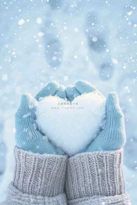 冬天寒冷白雪结冰小寒摄影图 冬天寒冷白雪结冰小寒摄影图