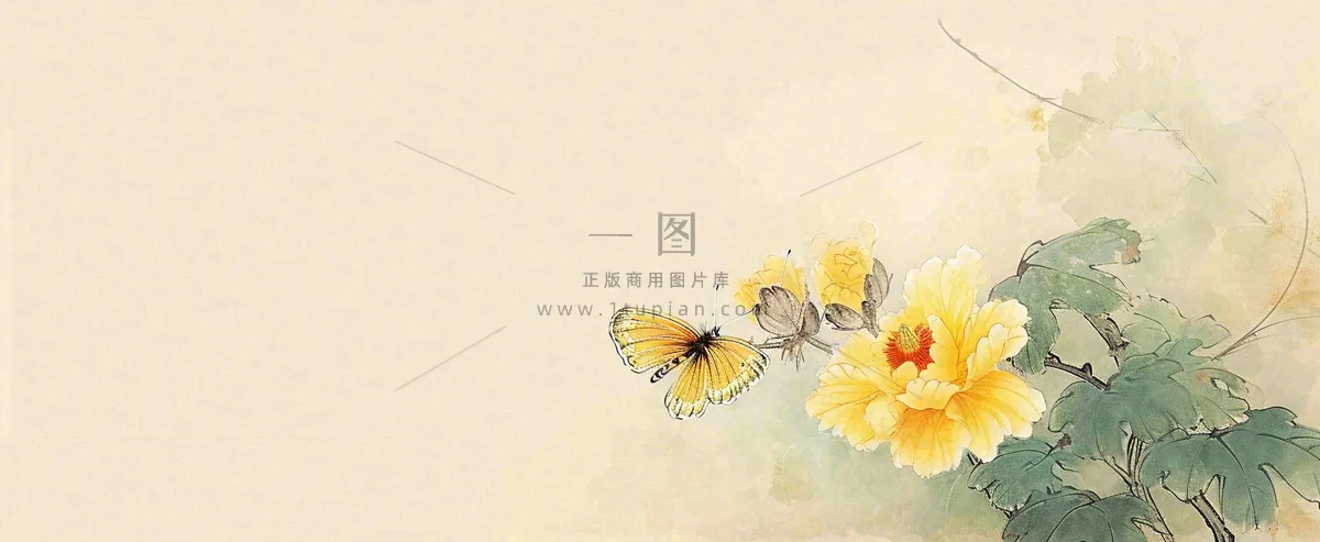 温馨纹理橙色花朵鲜花蝴蝶意境唯美，中国风