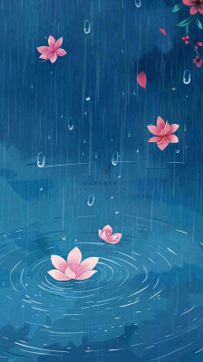 雨天雨滴低落水面泛起涟漪粉色花朵雨水谷雨寒露背景