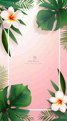 粉色鲜花绿植清新插画,书信书签邀请函 粉色鲜花绿植清新插画,书信书签邀请函