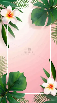 粉色鲜花绿植清新插画,书信书签邀请函 粉色鲜花绿植清新插画,书信书签邀请函