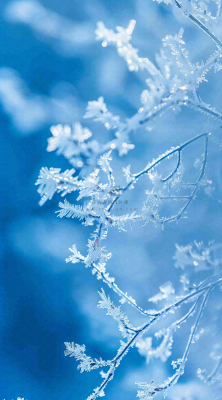 冬天寒冷白雪结冰小寒摄影图