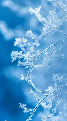 冬天寒冷白雪结冰小寒摄影图 冬天寒冷白雪结冰小寒摄影图