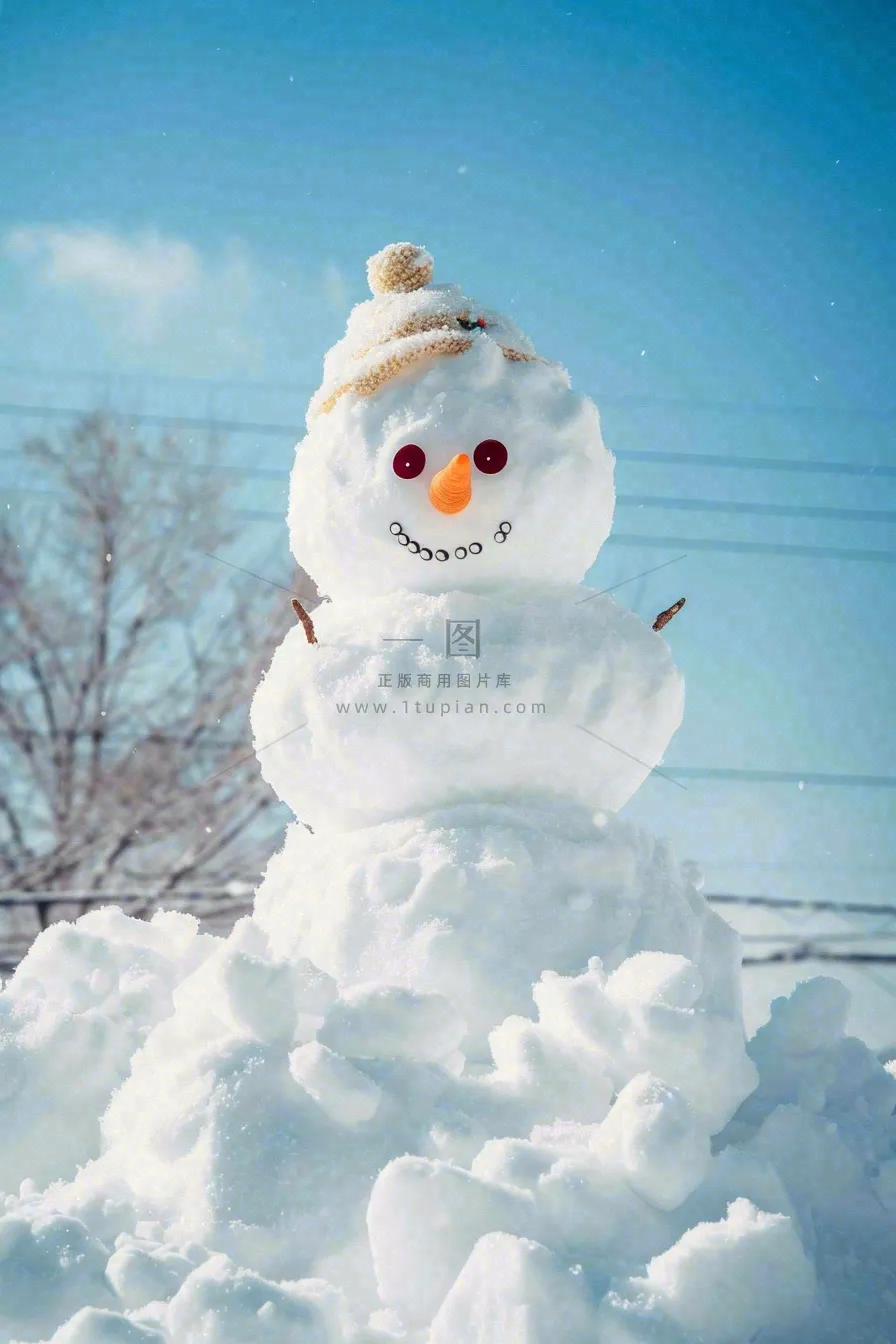 冬天雪地里的雪人可爱唯美立冬冬至小雪大雪摄影图