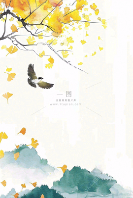 秋天银杏叶鸟儿中国风水彩国画立秋白露秋分插画背景 秋天银杏叶鸟儿中国风水彩国画立秋白露秋分插画背景