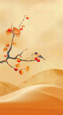 秋冬柿子树上的小鸟黄色插画霜降背景