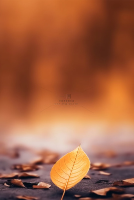 棕黄色叶子大气简约节气海报背景 棕黄色叶子大气简约节气海报背景