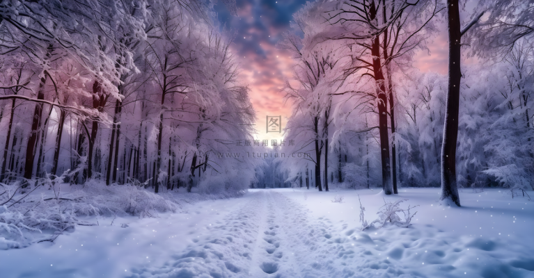 茫茫的雪原清晨日出霞光普照摄影图