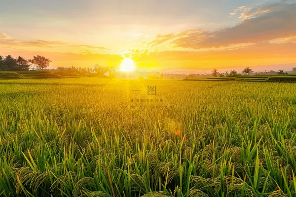 清晨日出朝霞云层摄影图