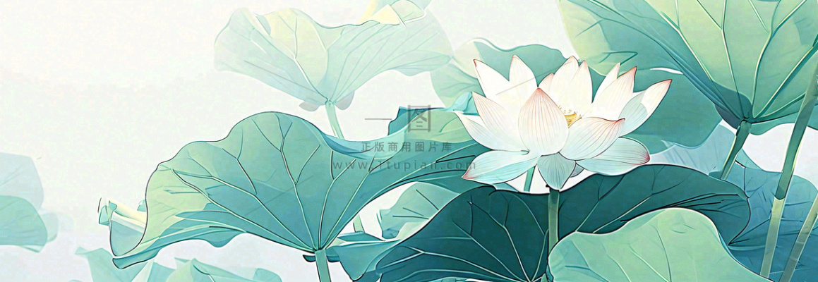 夏天荷花荷叶手绘绿色插画，夏至小暑大暑