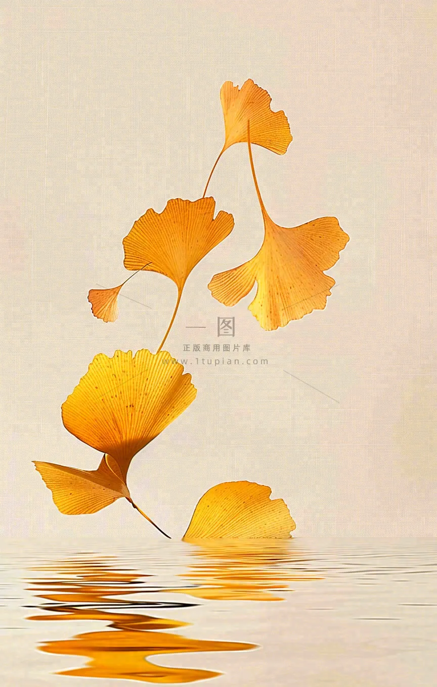 秋天秋分立秋