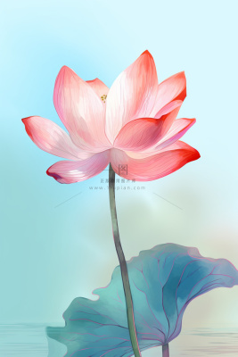 简约清新淡粉色荷花背景 简约清新淡粉色荷花背景
