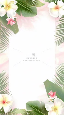 粉色鲜花绿植清新插画,书信书签邀请函 粉色鲜花绿植清新插画,书信书签邀请函