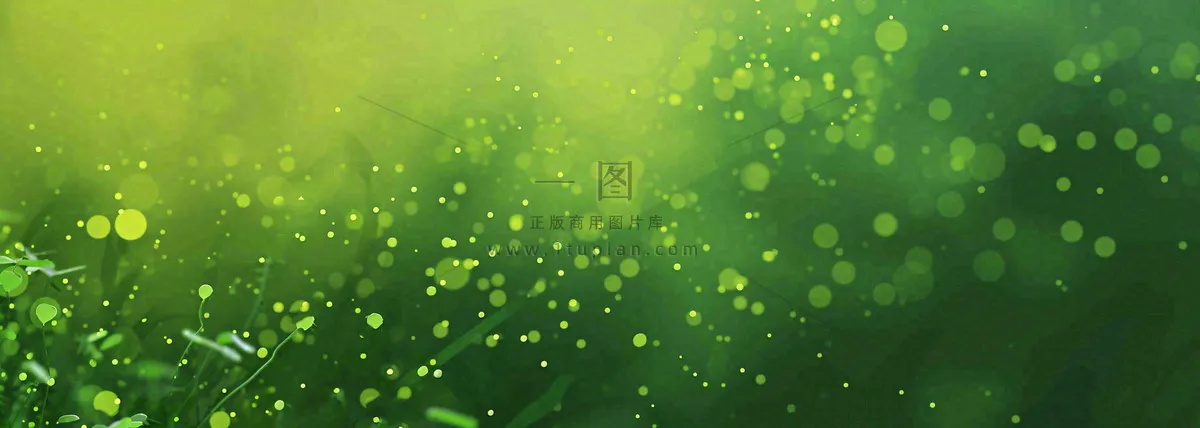 春天夏天绿色草地清新，春分立夏插画背景