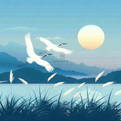 白鹭齐飞天水一色山水画芦苇荡清冷白露寒露插画背景