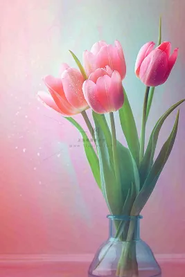 世界教师日 世界教师日