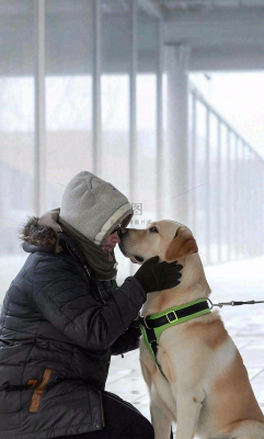 国际盲人日 国际盲人日