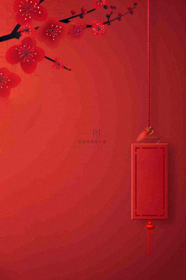 红色国风背景梅花花朵插画元旦背景