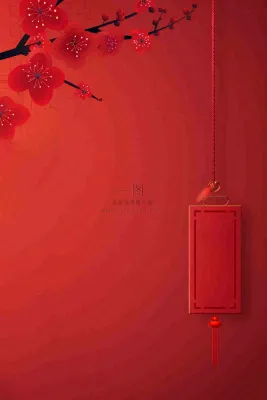 红色国风背景梅花花朵插画元旦背景
